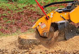 Best Lawn Irrigation Installation and Maintenance  in University Park, NM